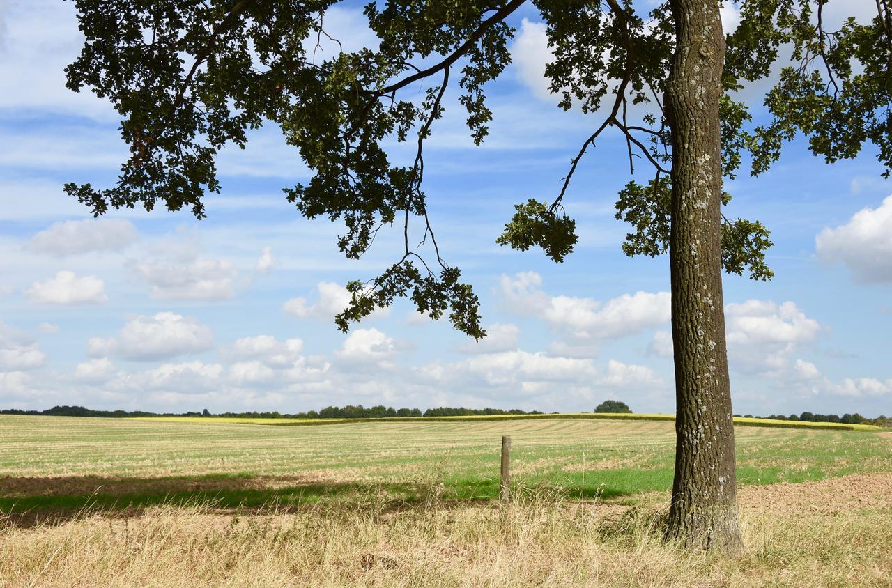 De Hagendoorn Bed & Breakfast Moorveld Exterior photo
